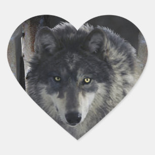 TIMBER WOLF Wildlife Supporter Kunstwerk Hart Sticker
