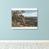 Timberline op de Mammoth Crest Canvas Afdruk (Insitu (Houten vloer))