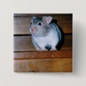Timbit de Hamster Button (Voorkant)