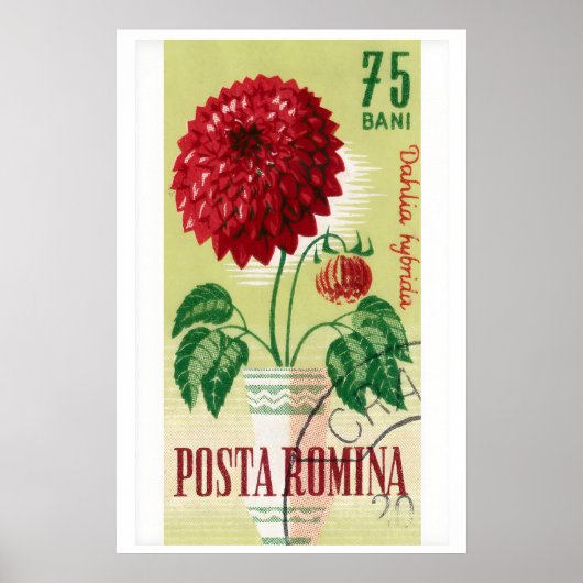 Timbre-poste roumain Impression Fleur de Dahlia ro (Devant)
