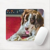 Time-out voor afspelen, Muismat (Met muis)