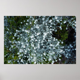 Timeless Journey Poster