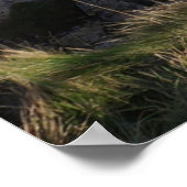 Timeless Journey Poster (Hoek)