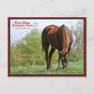 Timeless Sue Briefkaart