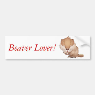 Timid Beaver Bumpersticker