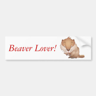 Timid Beaver Bumpersticker
