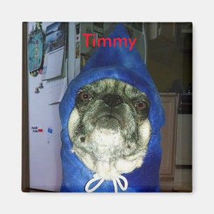 Timmy Hoodie Magnet Magneet