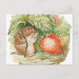 Timmy Willie Mouse - Beatrix Potter Briefkaart