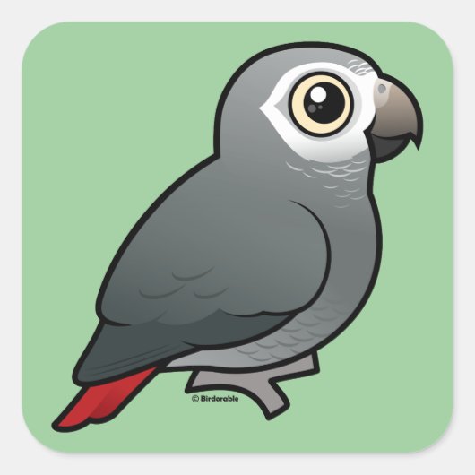 Timneh African Gray Parrot Vierkante Sticker (Voorkant)
