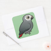 Timneh African Gray Parrot Vierkante Sticker (Envelop)