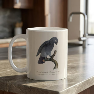 Timneh-grijze roodstaartpapegaai, Psittacus Timneh Koffiemok