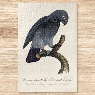 Timneh-grijze roodstaartpapegaai, Psittacus Timneh Legpuzzel