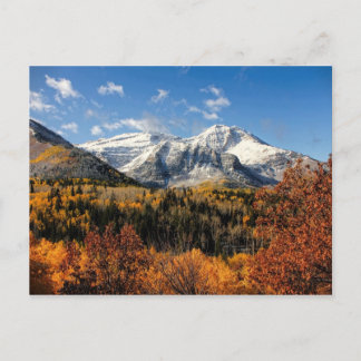 Timpanogos in de herfst van het Utah-gebergte Briefkaart