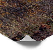 Timpanogos, Utah Poster (Hoek)