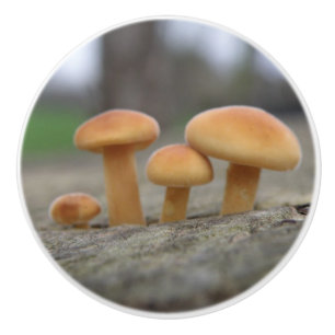 Timy Toadstools Macro Ceramic Knob. Keramische Knop