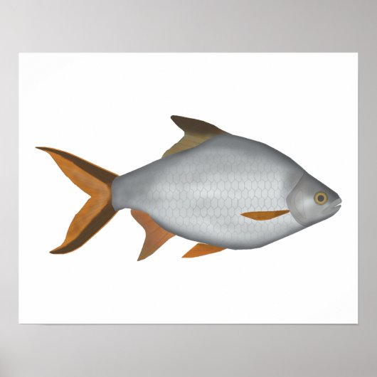 Tinfoil Barb Poster (Voorkant)