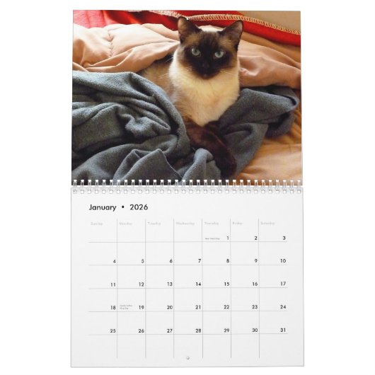 Ting van de Siamese kat Kalender (Jan 2026)
