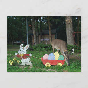 TINKERBELL #6 BRIEFKAART HELPT DE PAASKONIJN