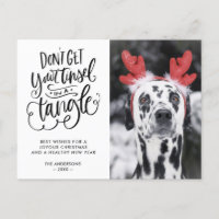 Tinsel in een Tangle Funny Dog Foto Kerstmis
