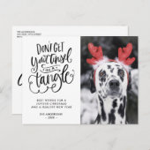 Tinsel in een Tangle Funny Dog Foto Kerstmis Feestdagenkaart (Voorkant / Achterkant)