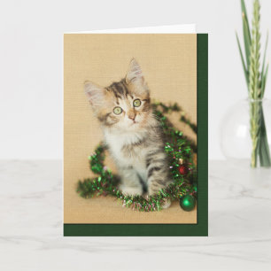 Tinsel Kitten Feestdagen Kaart