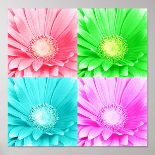 Tinted Gerbera Daisy Canvas Poster (Voorkant)