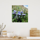 Tiny Alpine Tundra Flowers Poster (Keuken)
