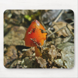 Tiny Amberina Cone Pet Mushroom Mousepad Muismat