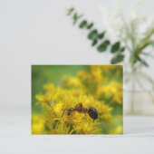 Tiny Ant op Goldenrod Briefkaart (Staand voorkant)