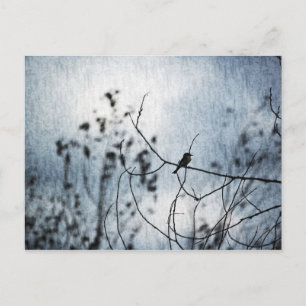 Tiny Bird Silhouette Postcard Briefkaart