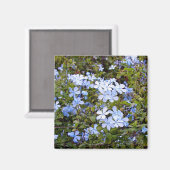 Tiny Blue Flowers Magneet (Voorkant / Achterkant)