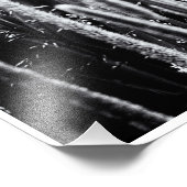 Tiny Bull Rush Marsh Grasses Black en White Foto Afdruk (Hoek)