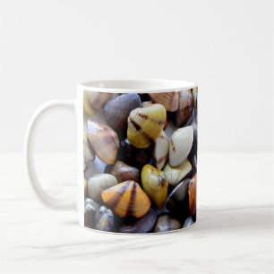 Tiny Coloré Coques de Clam Mug