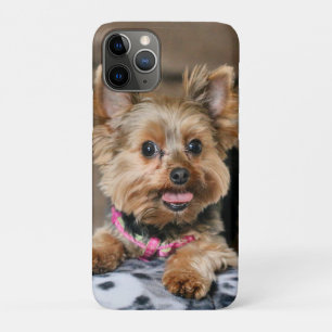 Tiny Dynamo iPhone 11 Pro Hoesje