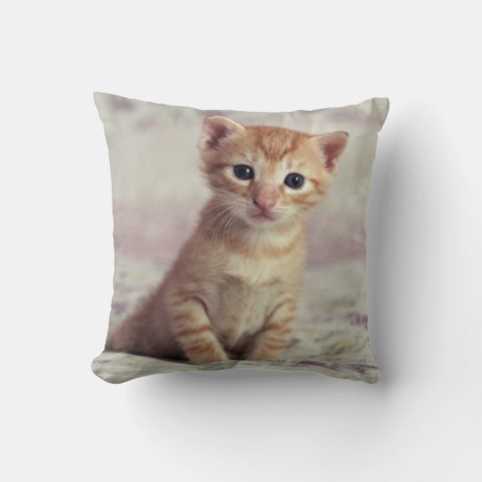 Tiny Ginger Kitten Kussen (Voorkant)