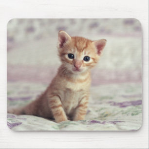 Tiny Ginger Kitten Muismat