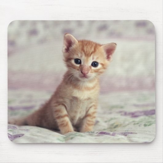 Tiny Ginger Kitten Muismat (Voorkant)