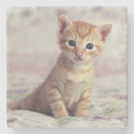 Tiny Ginger Kitten Stenen Onderzetter (Voorkant)