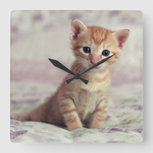 Tiny Ginger Kitten Vierkante Klok (Voorkant)