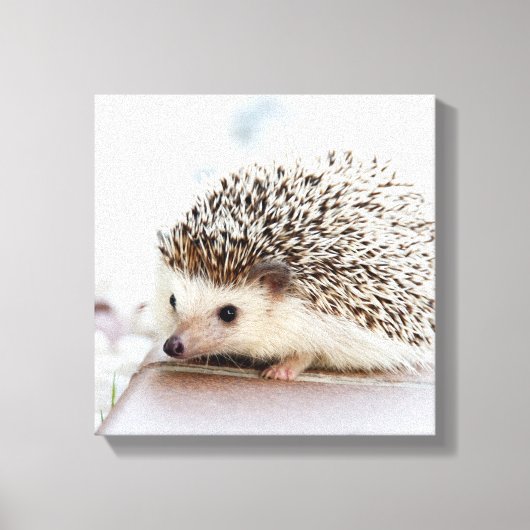 Tiny Hedegel Canvas Afdruk (Voorkant)