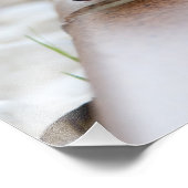 Tiny Hedegel Foto Afdruk (Hoek)