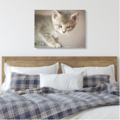 Tiny Kitten Canvas Afdruk (Insitu (Slaapkamer))