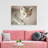 Tiny Kitten Canvas Afdruk (Insitu (Woonkamer))