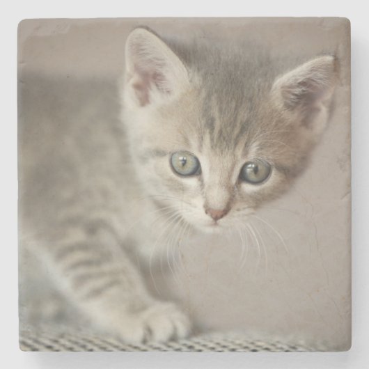 Tiny Kitten Stenen Onderzetter (Voorkant)