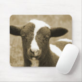 Tiny Muismat (Met muis)