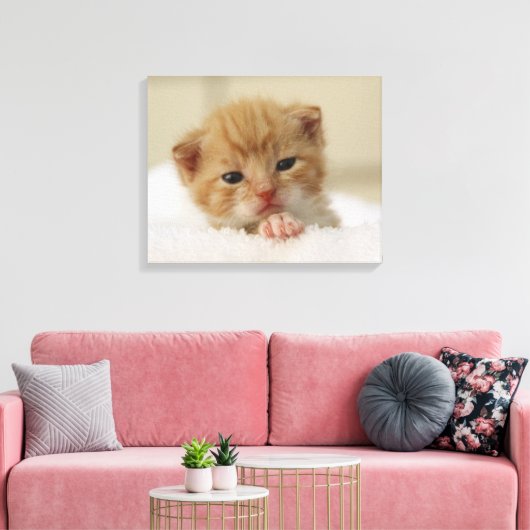 Tiny Oranje Kitten Canvas Afdruk (Insitu (Woonkamer))