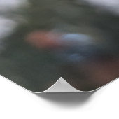 Tiny Pine Cones Poster (Hoek)