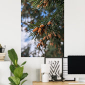 Tiny Pine Cones Poster (Thuiskantoor)