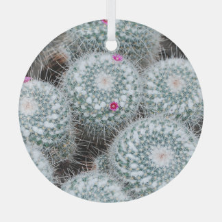 Tiny Pink Flowers Cactus Planten Glas Ornament