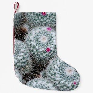 Tiny Pink Flowers Cactus Planten Kleine Kerstsok